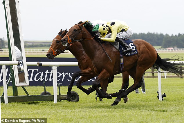 Rosallion was defeated at Newmarket but prevailed in Irish Guinea at the Curragh