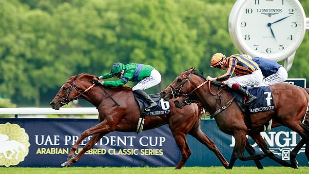 Metroploitan won the French Guineas and will also contest the St James's Palace Stakes