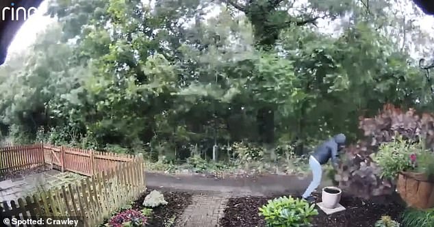 The man grabs the leaves and rips the plant out of the pot