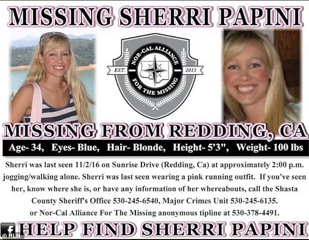 Sherri when she went missing for three weeks in 2016.  The hoax was unraveled years later and in March 2022 she was arrested on charges of fraud and lying to police.