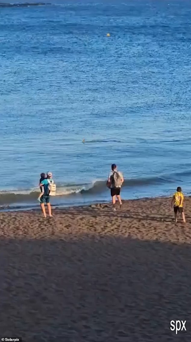 The sighting was the latest in a series of shark sightings on the coasts of holiday resorts in Spain