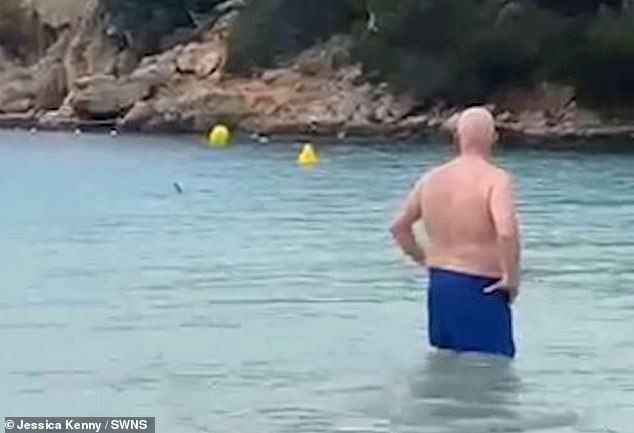 A British family was left 'terrified' after being surrounded by a shark just off a beach in a popular holiday resort on the Spanish island of Menorca last month