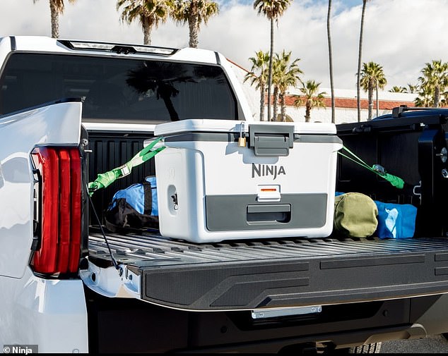 The team at Ninja spent about a year trying to figure out the soggy sandwich dilemma and got to work putting together the perfect picnic cooler
