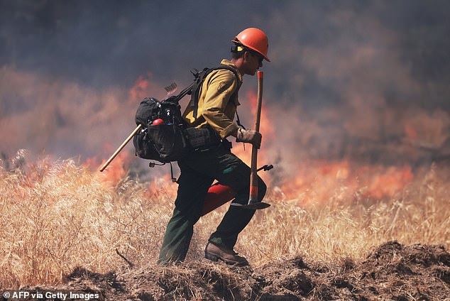 A U.S. Forest Service firefighter produces a controlled burn as the Post Fire burns through Castaic, California