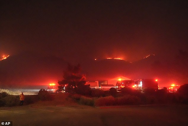 The Post Fire (pictured) marks the first major wildfire of the year in Los Angeles County, although California has recorded a total of 1,769 wildfires this year