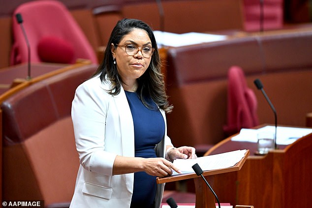 NT Senator Jacinta Nampijinpa Price raised the damaging effect of interstate environmentalists blocking projects that could bring economic development to Aboriginal people