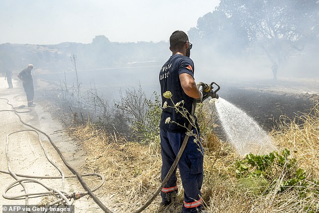 Firefighters in Cyprus have struggled to battle the spread of fires and high winds this week