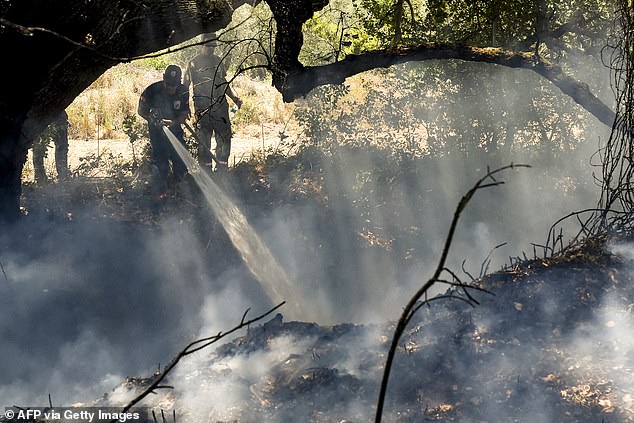 Firefighters from the Cyprus Forests Department extinguish a fire that broke out on June 12 in the village of Choulou in western Cyprus