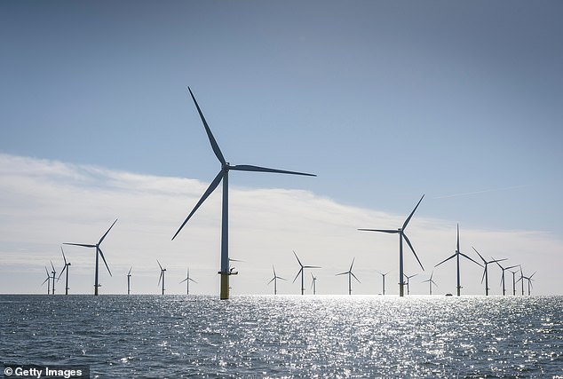 Mr Horne said he bought a new boat in the belief that his lobster fishing spot would be within the boundaries of the offshore wind farm (stock photo), but that the government would push it further from shore.
