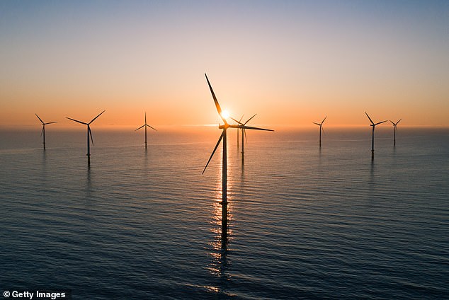 The project has infuriated locals, who challenged the government to instead install a wind farm at more popular coastlines, such as Sydney's eastern beaches (stock image)