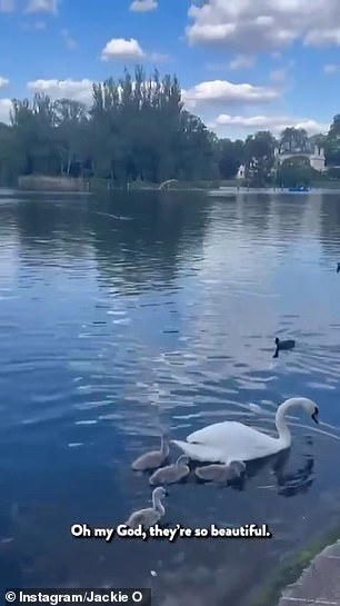She first filmed a swan in a pond with its cute cygnets and talked about how 'beautiful' the birds were as she admired the landscape.