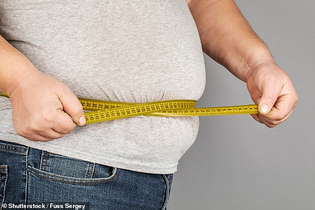Britain has the highest obesity rates in Western Europe.  Nearly 26 percent of adults in England were classified as obese – with a body mass index of 30 or above – according to the Health Survey for England 2021 (stock image)