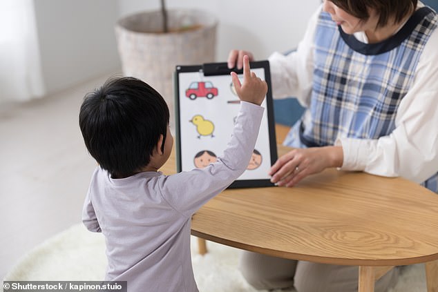 The childcare regulator is also suggesting that daycare centers hold daily land recognition ceremonies (stock image)
