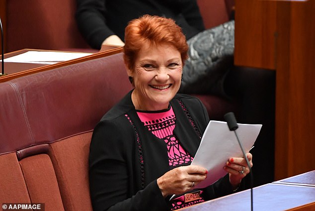 Pauline Hanson (pictured) doesn't mind Irwin's legal threat getting her attention