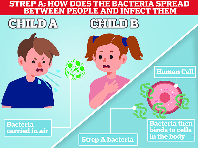 The killer bug spreads through cough drops, sneezing, talking and skin-to-skin contact.  In rare cases, Strep A bacteria is spread through food that has not been properly handled