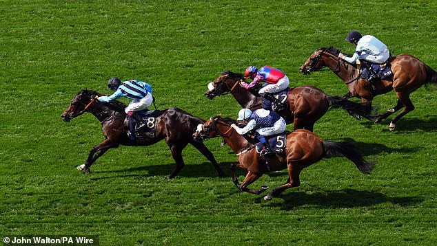 Dwyer's horse, Asfoora, won the Group One King Charles III Stakes at Royal Ascot on Tuesday