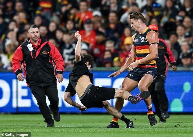 Crows star Ben Keays knocked Saginario to the ground as he ran into Adelaide Oval during his team's match against Geelong (pictured)