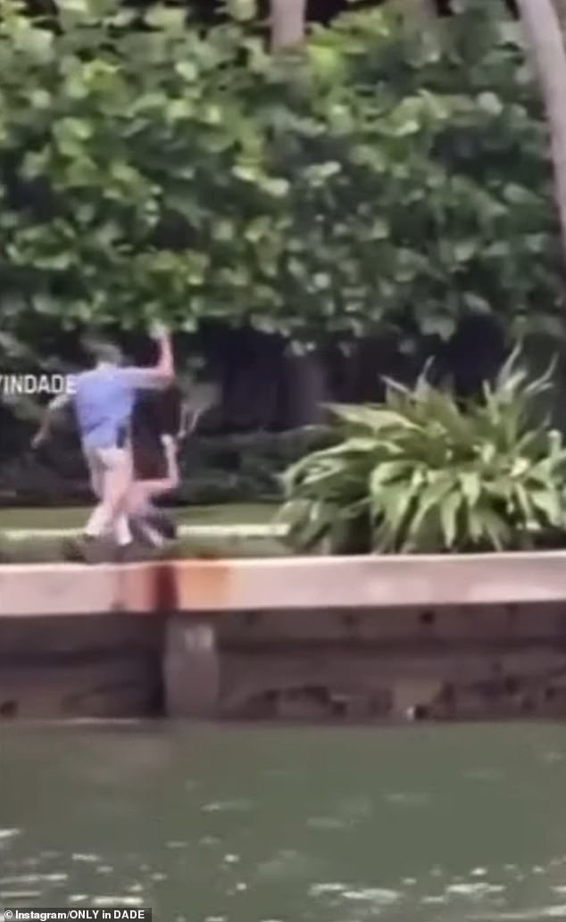 Vidrine is then seen on camera pushing another nearby witness before pushing Guidice, as the dog seemingly struggled in the water and was unable to scale the wall.