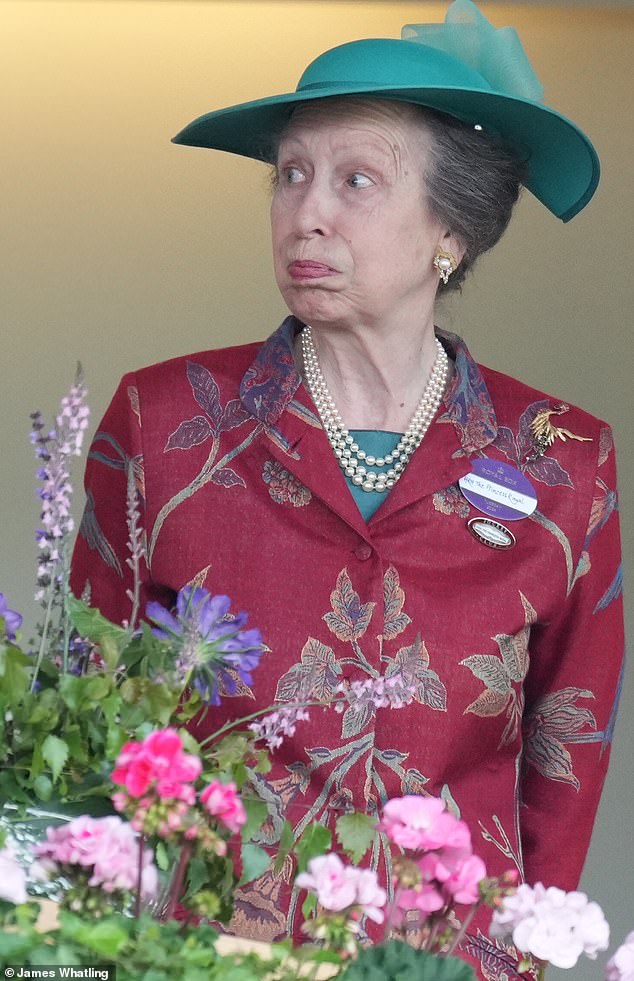 Princess Anne, who loves all things equine, watches the action at Ascot on Tuesday