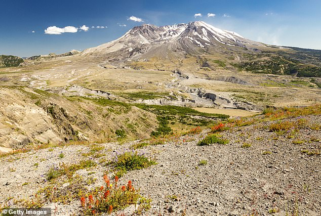 Since February 1, 2024, about 350 earthquakes have been recorded at the 8,000-foot volcano in Washington state by the Pacific Northwest Seismic Network