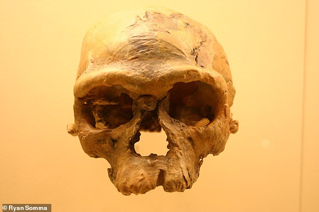Scientists have reconstructed the oldest known Homo sapien skull found in Morocco, which was missing its lower jaw when it was uncovered in 2017