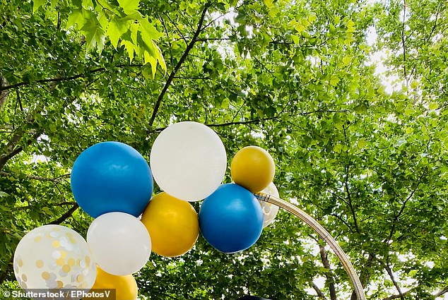 A number of northern NSW councils have banned party balloons at their sites due to environmental concerns