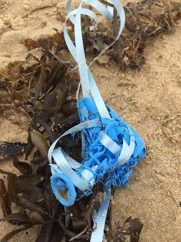 The balloon ban was announced in response to concerns about seabirds and marine life