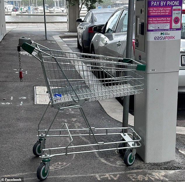 The council has warned that those caught dumping trolleys could be fined up to $1150