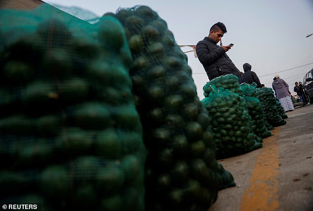 Local producers stand by bags of freshly harvested avocados at a market in Tenancingo de Degollado, Mexico.  The avocado industry will generate $3.2 billion for the Mexican economy in 2023
