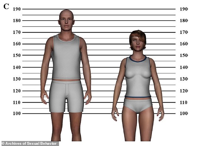 In the photo a tall man – measuring 190 cm (6 feet 3 inches) tall – but with a lower shoulder-to-hip ratio.  For comparison, the male figures were shown next to a woman
