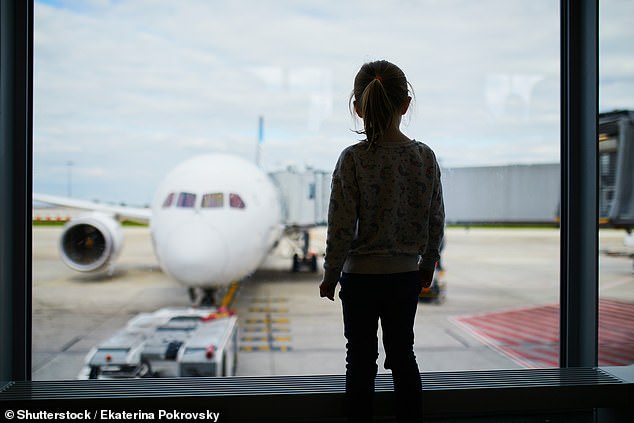 Charlie was convinced she never wanted to fly again, according to Mrs Gurner (stock image)