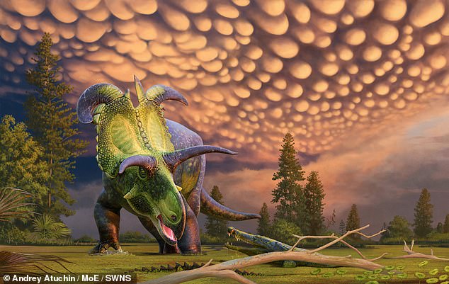 The researchers suggest that the dinosaur's enormous horns and blades may have served a similar purpose to birds' colorful plumage: They helped attract mates and recognize other members of the species.
