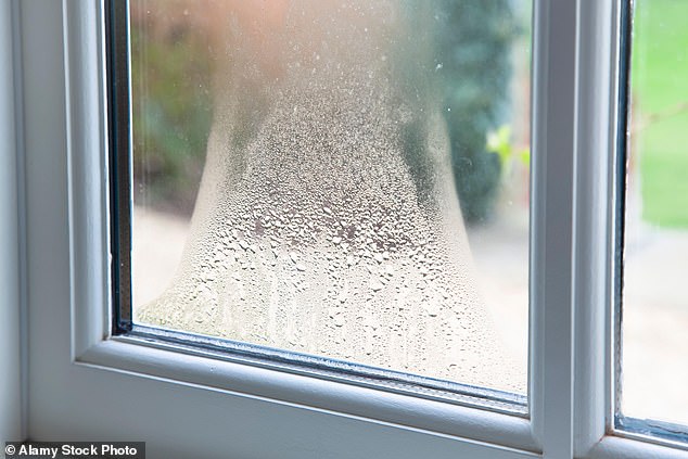 Not only is condensation frustrating, but it can also lead to damp and dangerous mold in your home