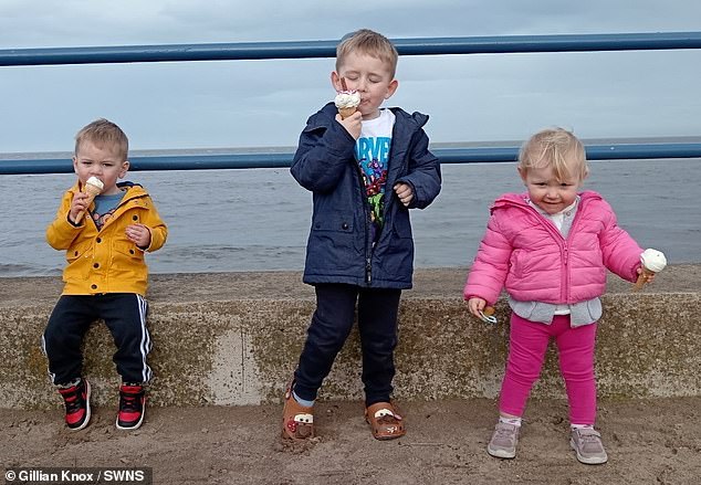 Gillian found it difficult when Rachel became pregnant with Zach, four, (centre) as she tried to have a child of her own.  But shortly after Rachel had Rory, two, (left), Gillian discovered she was pregnant with Hallie, now two (right)