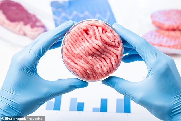 'Cell-based meat', grown in a lab from animal cells fed chemicals, and sold under license to the public for the first time last year