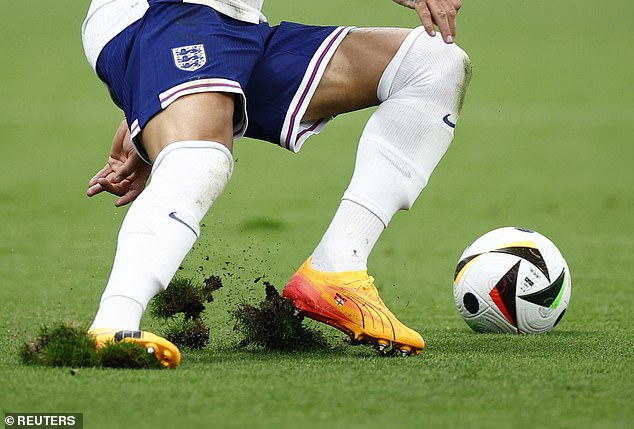 Fans complained about the condition of the pitch during England's European Championship match against Denmark