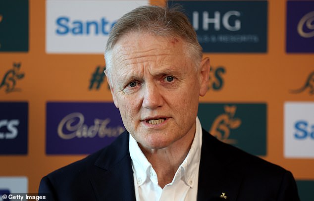 New Zealand-born Joe Schmidt has replaced Eddie Jones as Wallabies head coach