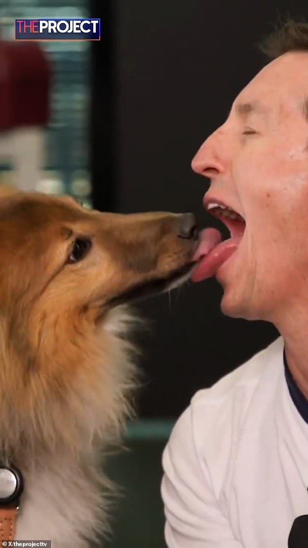 He even stuck out his tongue to give the dog a good lick for a long time