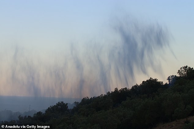 Smoke rises as firefighting planes drop water to extinguish a fire in a wooded area yesterday