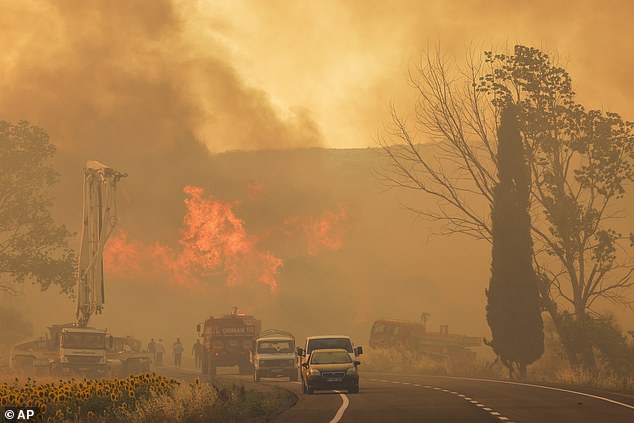 Firefighters are busy extinguishing a burning fire near Kumkoy, Gallipoli Peninsula, Turkey, Tuesday, June 18, 2024