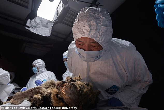 Permafrost is soil that remains permanently frozen even during the summer months - and can remain frozen for thousands of years