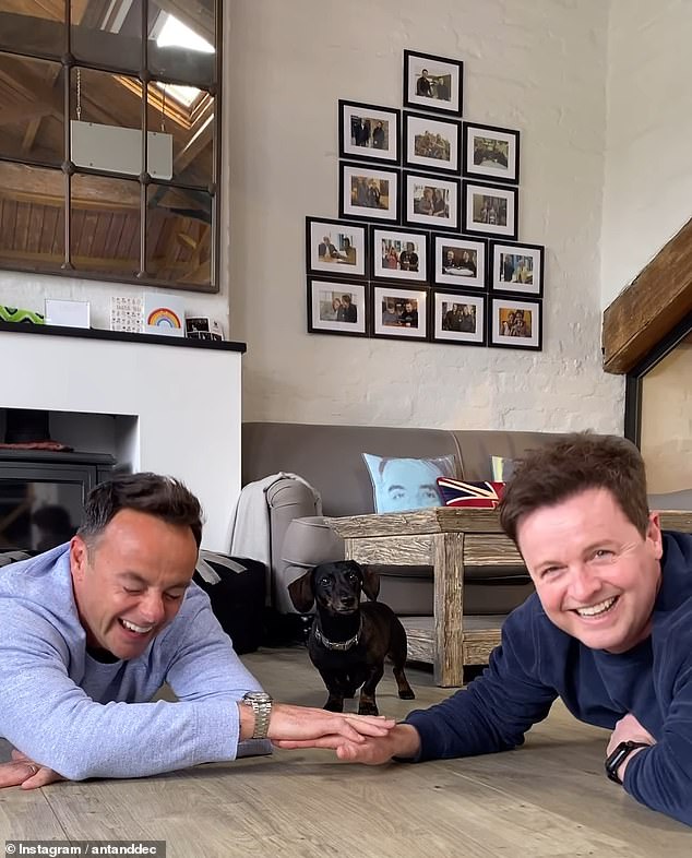 The TV duo, who take to their socials every week to film themselves taking on various online challenges, tried to make the 'hands in' video with Dec's adorable dachshund, Rocky