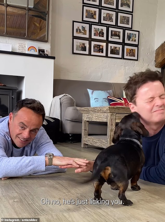 However, during Ant and Dec's recording, Rocky seemed to have missed the memo and refused to put his paw anywhere, instead staring at the two presenters' hands in complete confusion.