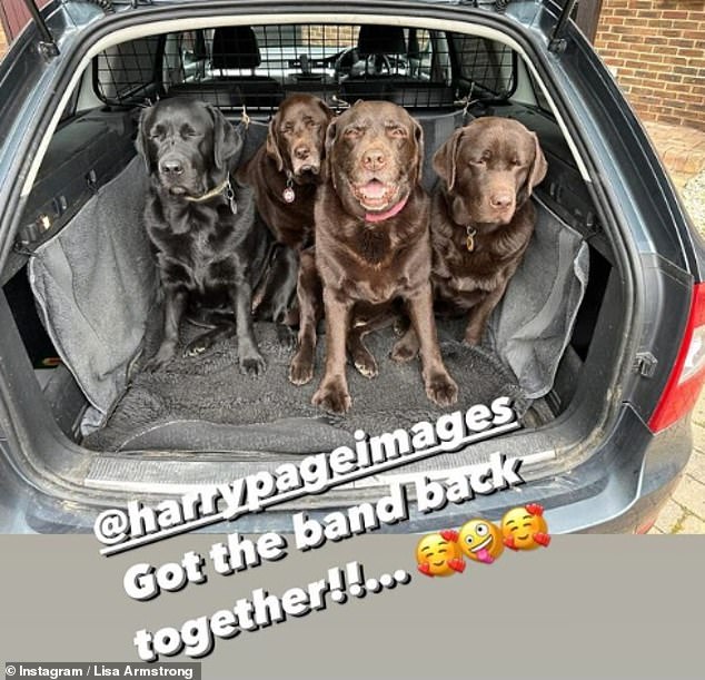 Ant has two maltipoo dogs Milo and Bumble and Hurley, the Labrador he shares with his ex-wife, Lisa Armstrong (pictured center)