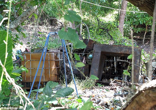 The Double Island Resort has fallen into a state of disrepair in recent years (photo).