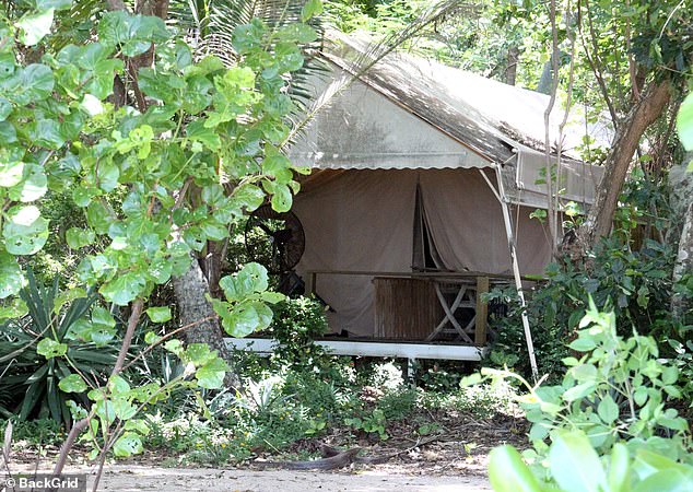 One of the dilapidated safari huts left in a state of disrepair, covered in overgrown bushes