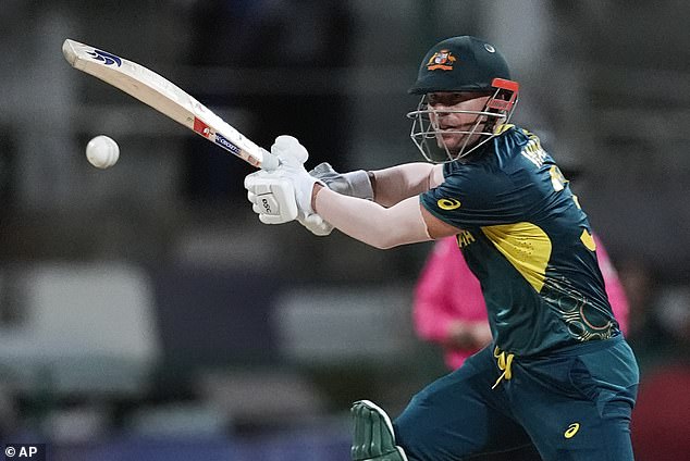 Ponting is also adamant.  Warner (pictured) received the most criticism from supporters after 'Sandpapergate' in Cape Town in 2018