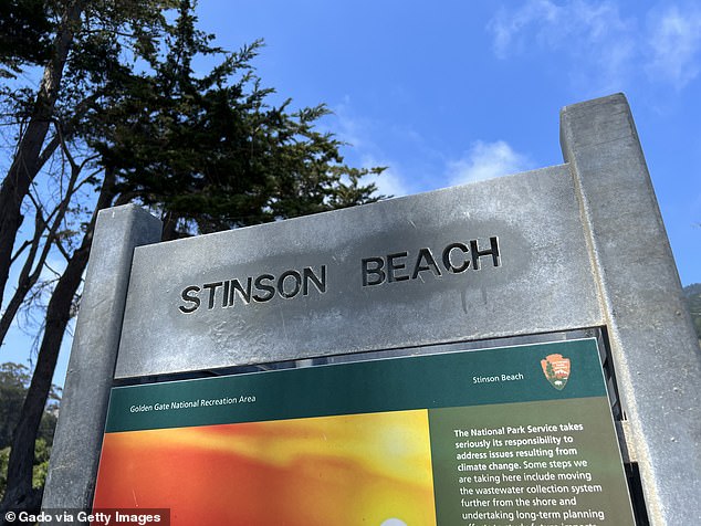 The seaside resort was founded in 1906 after the San Francisco earthquake.  The natural disaster caused many refuges where Stinson Beach was built