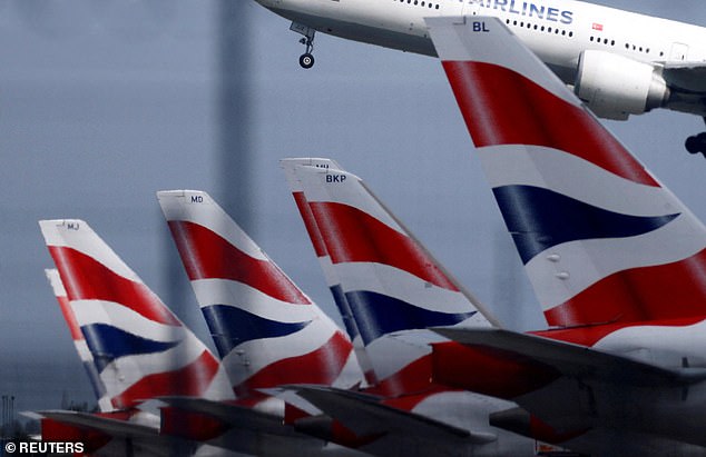 The pair have now been withdrawn from service, while the flights are short-staffed as cabin crew services are increased while they are off.  Pictured: stock photo of BA flukes