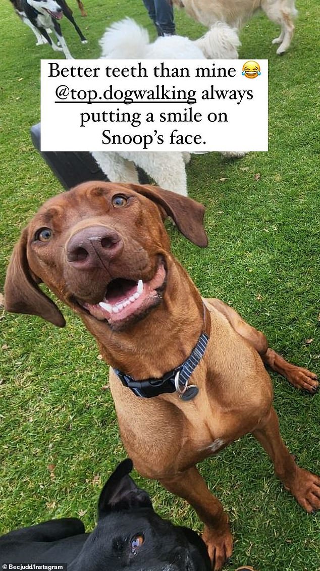Taking to her Instagram stories, the AFL WAG confessed that her dog Snoop has a better smile than her